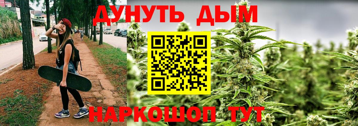 Канабис сатива  Бошки Шишки OG Kush  Вход с VPN  Бошки Шишки гибрид  Артём 